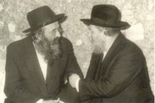הגרח והגריז.jpeg