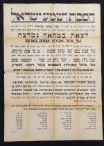 מחאה נגד גידול שפנים לאכילה.jpg
