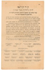 הונגריה תרפו.jpg